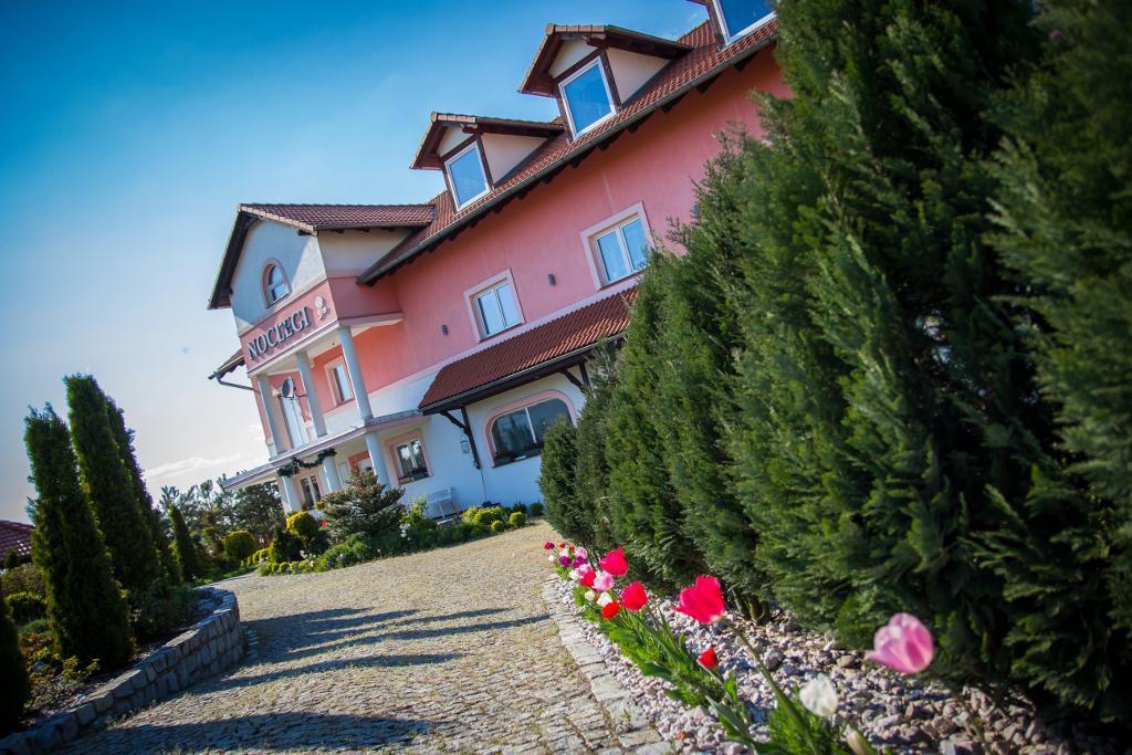 Noclegi Biala Roza Boleslawiec  Bagian luar foto
