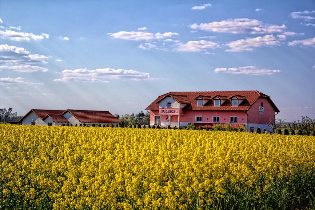 Noclegi Biala Roza Boleslawiec  Bagian luar foto